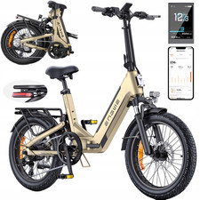 ENGWE L20 3.0 Boost 250W