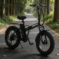 Electric Bike Adults 20X4.0