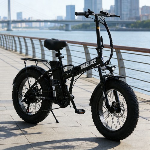 Adults electric bike 20x4 - electric,
