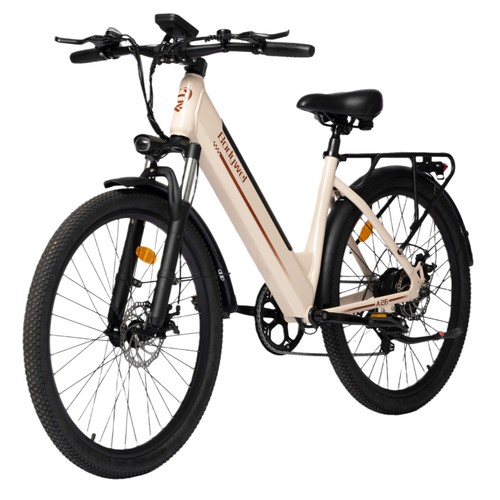 Electric bike 250w - electric,